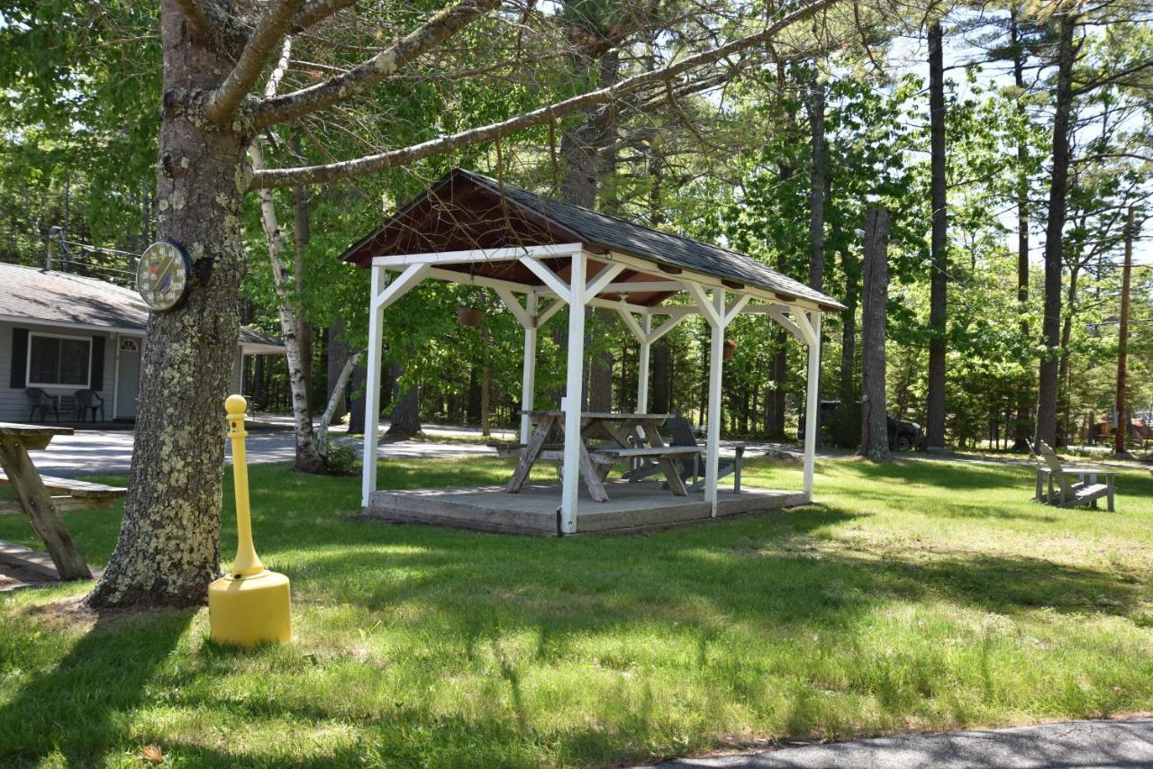 Acadia Pines Motel Bar Harbor Extérieur photo